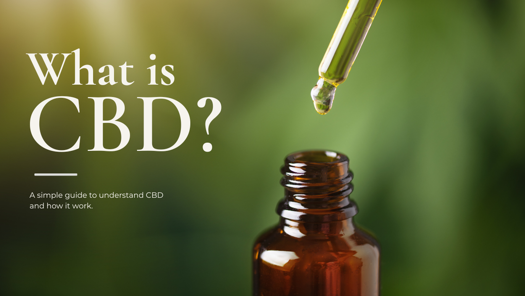 What is CBD?